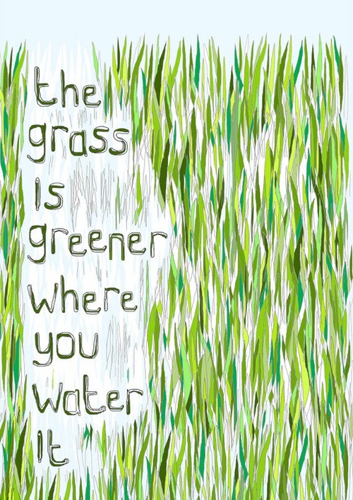 water the grass