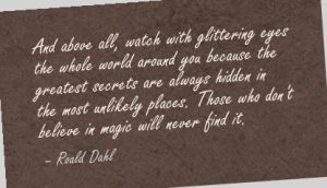 tumblr_mgs17hyiCd1rrd8u8o1_500