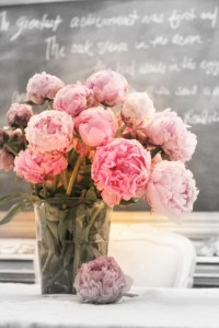 tumblr_mjq8lzCXsj1rrd8u8o1_500