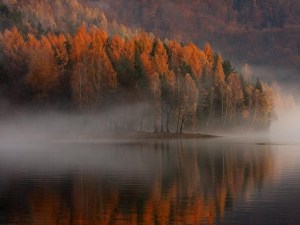 0ece9c124b074afeb94168e1d0a3bae2