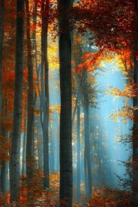 136040026385c5a03b2b2e432c34f77e