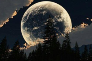 31c98abd920eecaa14861308ee5e7951