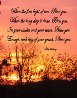 6de5724cdfb24f362dd6e79b4114c1f6