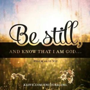 84cfe6c5b2698c449305878ad11b13d6