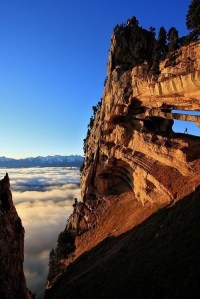 9b42f42be41a1ff8ed7031f16a04420b